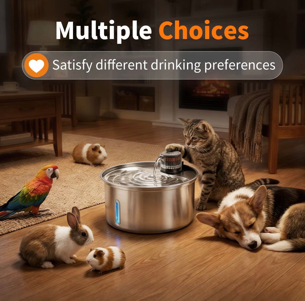 Premium 304 Stainless Steel Automatic Cat Dog Drinking Fountain with Quiet Pump Waterproof 12V for Indoor Pet Water Feeder