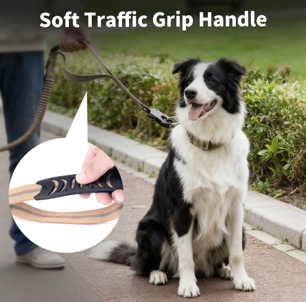 2-in-1 Bungee Dog Leash & Car Seat
Belt Zero Shock Absorbing Pet Leash with Reflective Threads for Travel & Walking