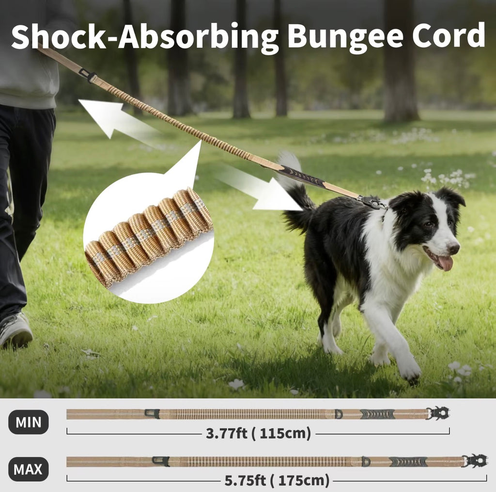 2-in-1 Bungee Dog Leash & Car Seat
Belt Zero Shock Absorbing Pet Leash with Reflective Threads for Travel & Walking