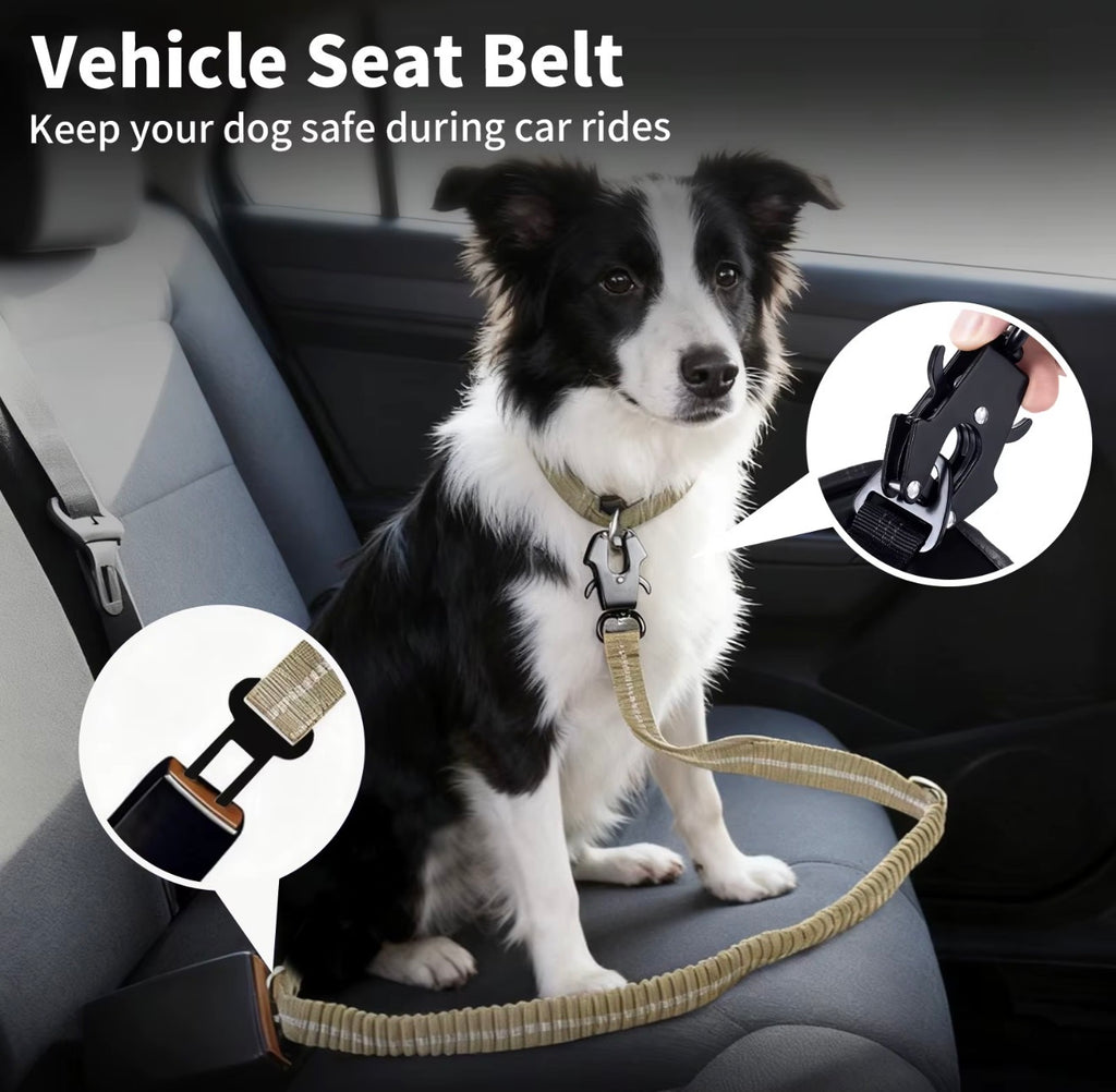 2-in-1 Bungee Dog Leash & Car Seat
Belt Zero Shock Absorbing Pet Leash with Reflective Threads for Travel & Walking