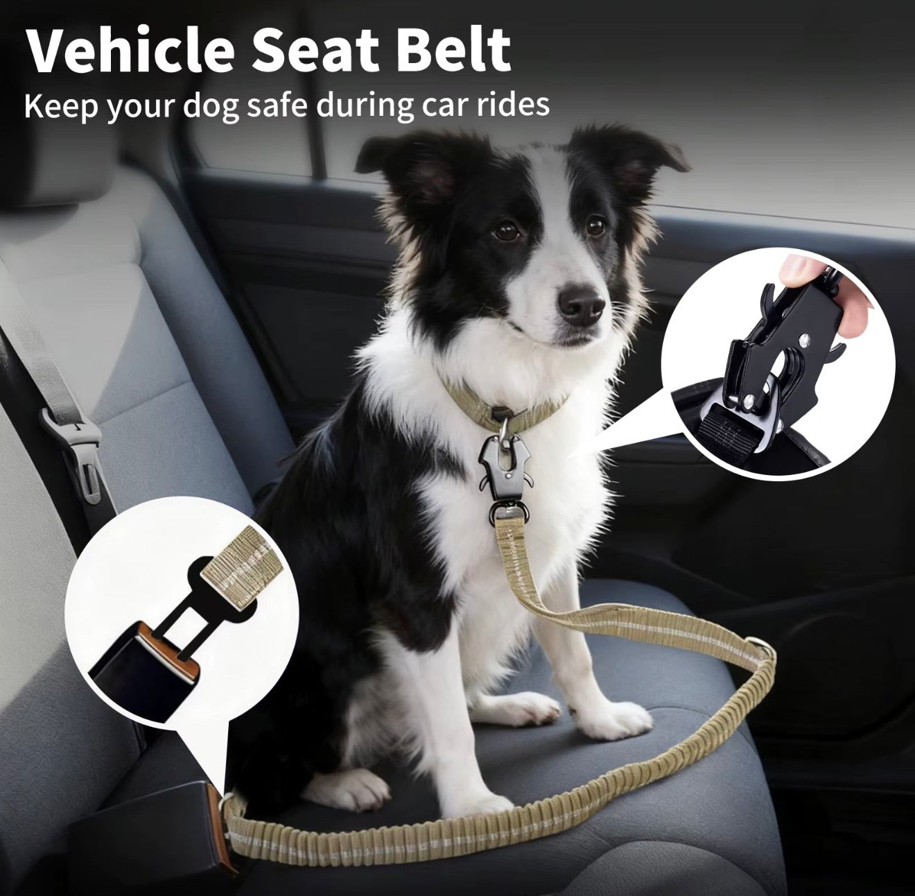 2-in-1 Bungee Dog Leash & Car Seat
Belt Zero Shock Absorbing Pet Leash with Reflective Threads for Travel & Walking