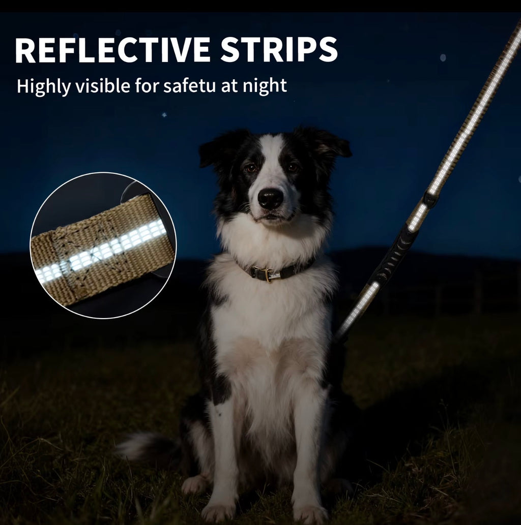 2-in-1 Bungee Dog Leash & Car Seat
Belt Zero Shock Absorbing Pet Leash with Reflective Threads for Travel & Walking